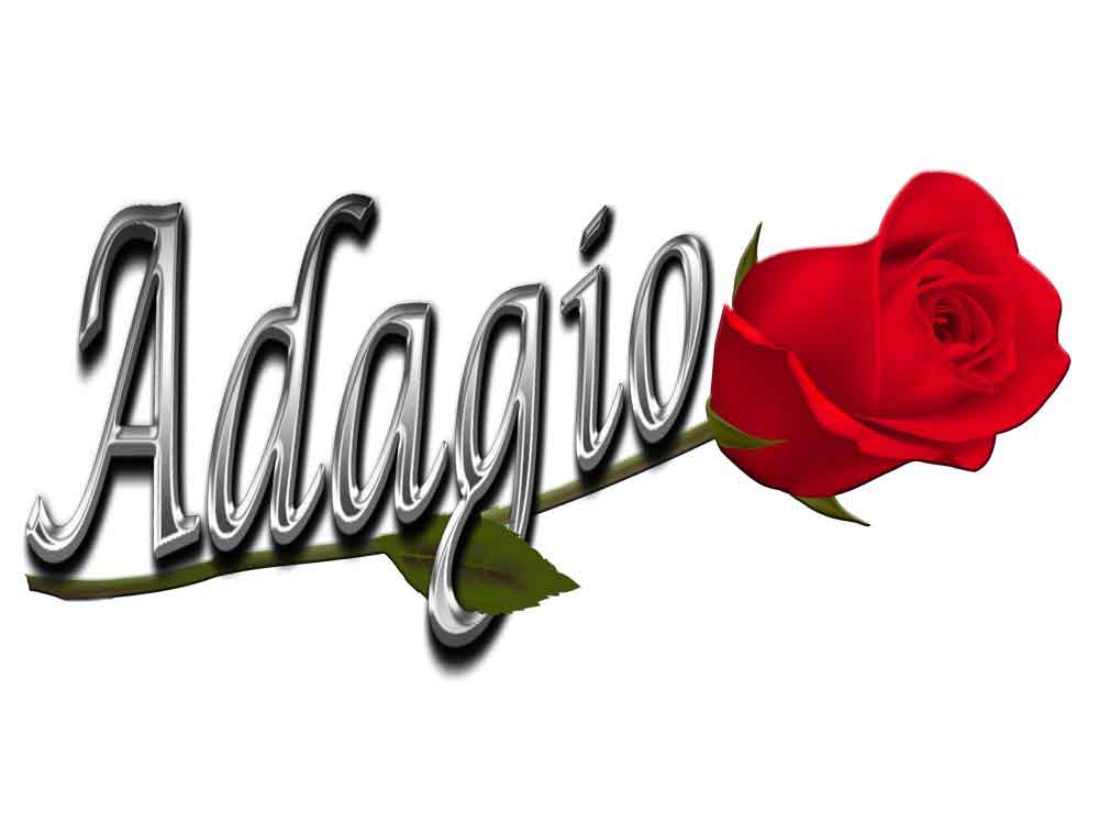 Dynamic Content Image